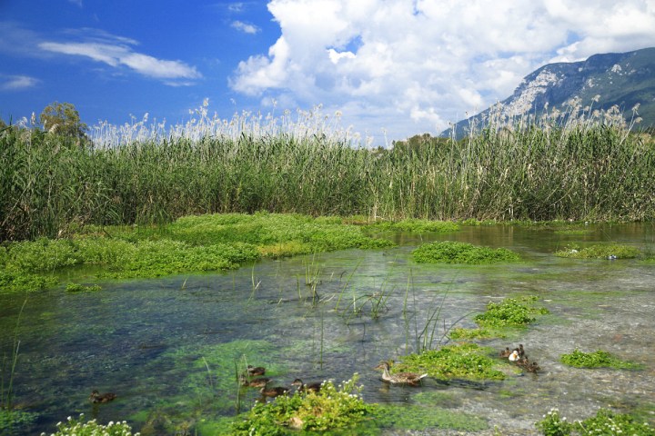 Azmak kenarından Gökova’yı selamladık