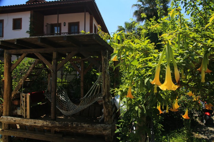 Güzel çiçeklere karşı hamakta uyumak…