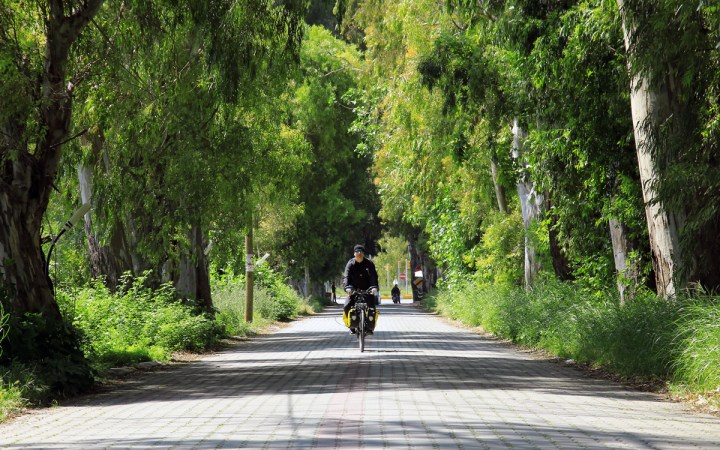 Okaliptuslar altından başladık