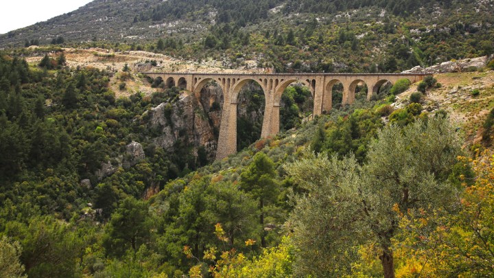 Varda Köprüsü_Yeşille bezeli