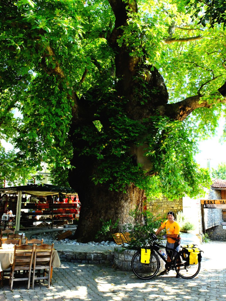 1995 yılında 1880 yaşında tabiat anıtı olarak tescil ettirilen 2,8 metre çapındaki çınarın çevresi 8,7 metre olarak ölçüldü. 35 metre yüksekliğinde olduğu belirlenen ağaç 706 metrekarelik alanı kaplıyor.